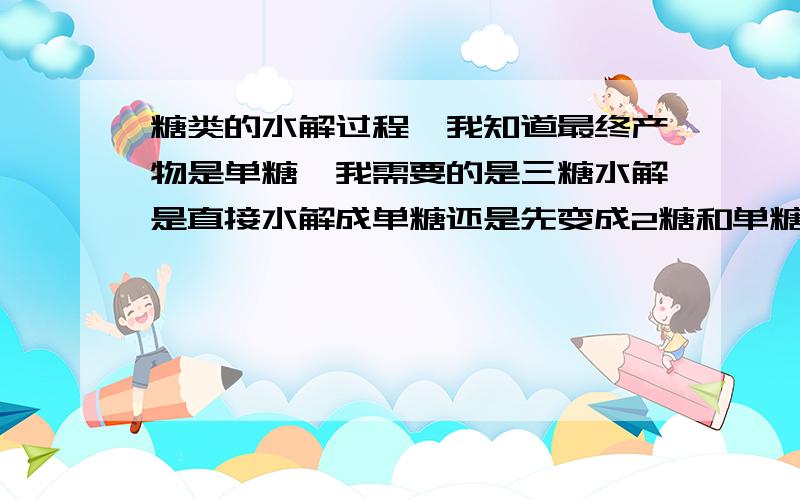 糖类的水解过程,我知道最终产物是单糖,我需要的是三糖水解是直接水解成单糖还是先变成2糖和单糖?