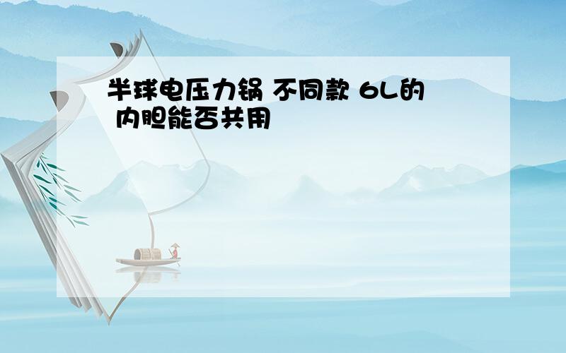 半球电压力锅 不同款 6L的 内胆能否共用