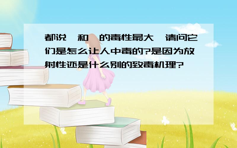 都说钋和钚的毒性最大,请问它们是怎么让人中毒的?是因为放射性还是什么别的致毒机理?