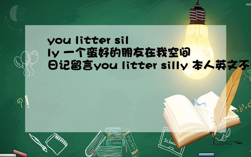 you litter silly 一个蛮好的朋友在我空间日记留言you litter silly 本人英文不行,帮忙翻译翻译