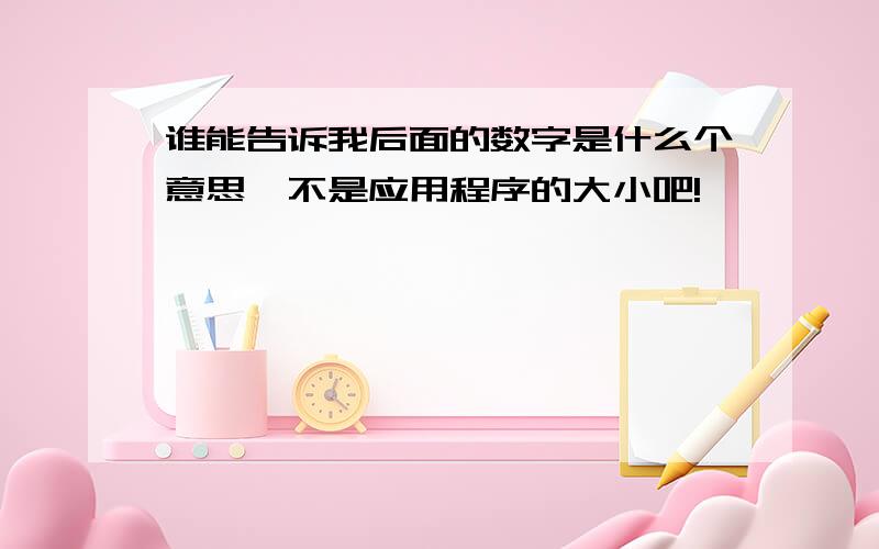 谁能告诉我后面的数字是什么个意思,不是应用程序的大小吧!