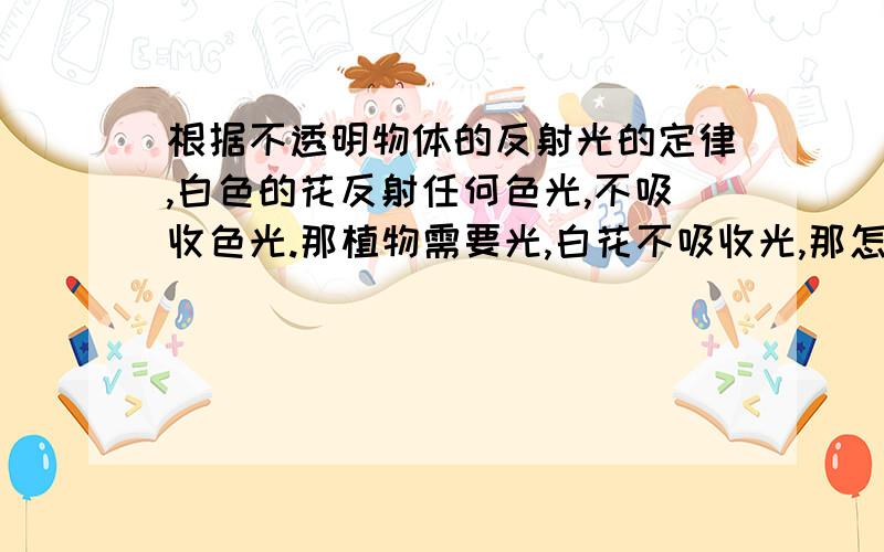 根据不透明物体的反射光的定律,白色的花反射任何色光,不吸收色光.那植物需要光,白花不吸收光,那怎么还有白花呢?