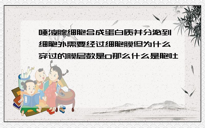 唾液腺细胞合成蛋白质并分泌到细胞外需要经过细胞膜但为什么穿过的膜层数是0那么什么是胞吐