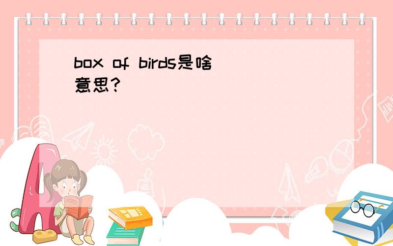 box of birds是啥意思?