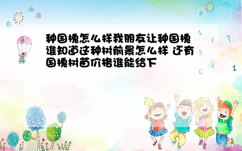 种国槐怎么样我朋友让种国槐 谁知道这种树前景怎么样 还有国槐树苗价格谁能给下