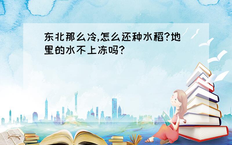 东北那么冷,怎么还种水稻?地里的水不上冻吗?