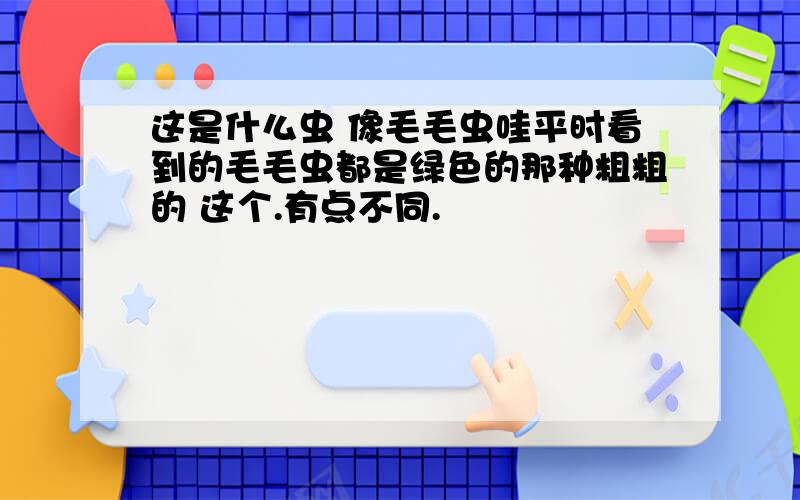 这是什么虫 像毛毛虫哇平时看到的毛毛虫都是绿色的那种粗粗的 这个.有点不同.