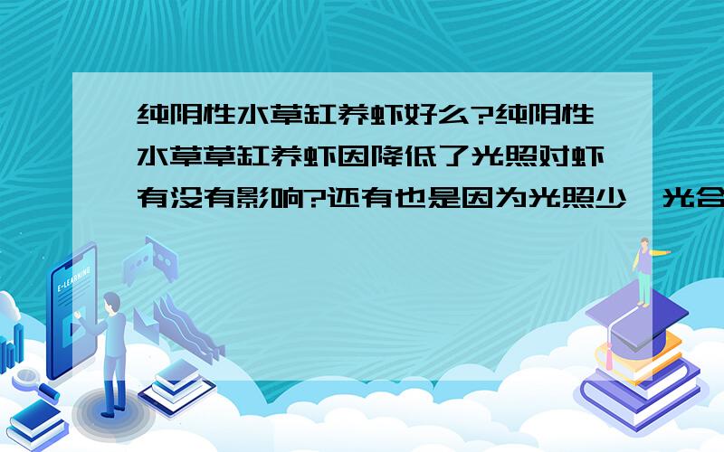 纯阴性水草缸养虾好么?纯阴性水草草缸养虾因降低了光照对虾有没有影响?还有也是因为光照少,光合作用小,是否要加氧气?