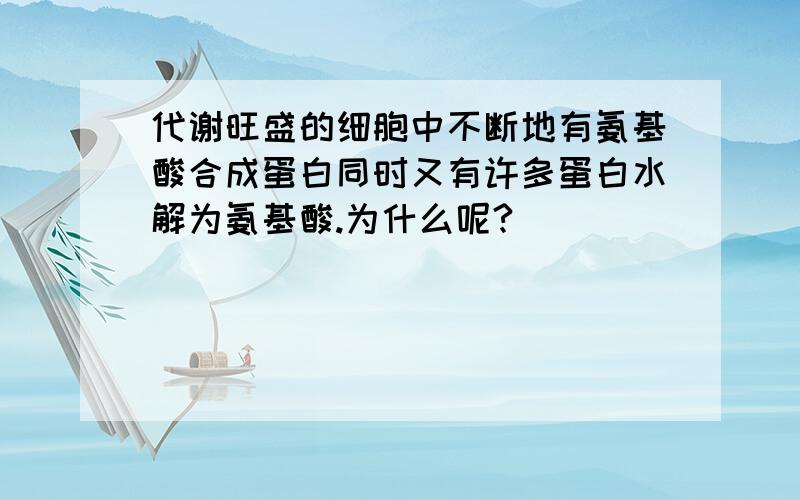 代谢旺盛的细胞中不断地有氨基酸合成蛋白同时又有许多蛋白水解为氨基酸.为什么呢?