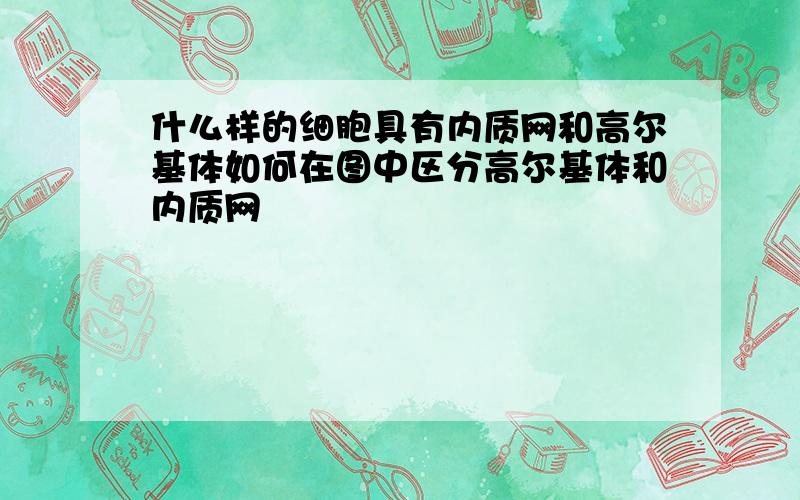 什么样的细胞具有内质网和高尔基体如何在图中区分高尔基体和内质网