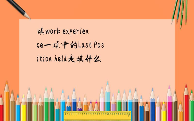 填work experience一项中的Last Position held是填什么