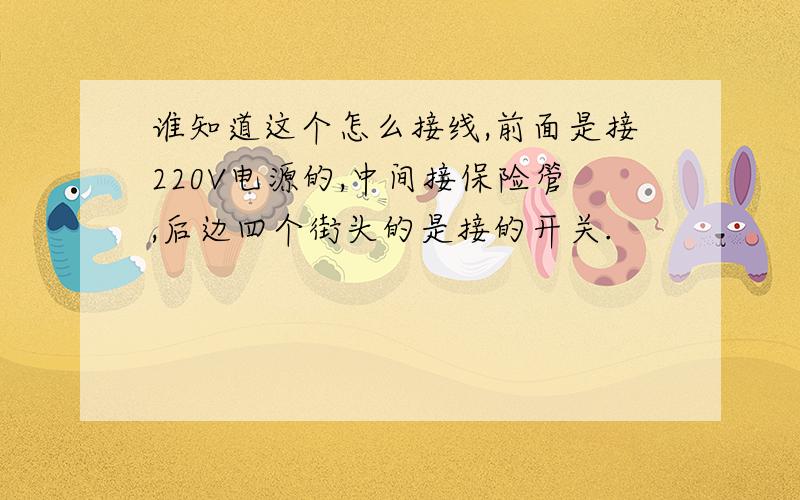 谁知道这个怎么接线,前面是接220V电源的,中间接保险管,后边四个街头的是接的开关.