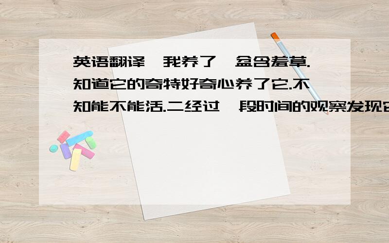 英语翻译一我养了一盆含羞草.知道它的奇特好奇心养了它.不知能不能活.二经过一段时间的观察发现它长的很茂盛,说明它的生命力很强.三之后,我把它放在角落里遗忘了很多天竟奇迹般开了