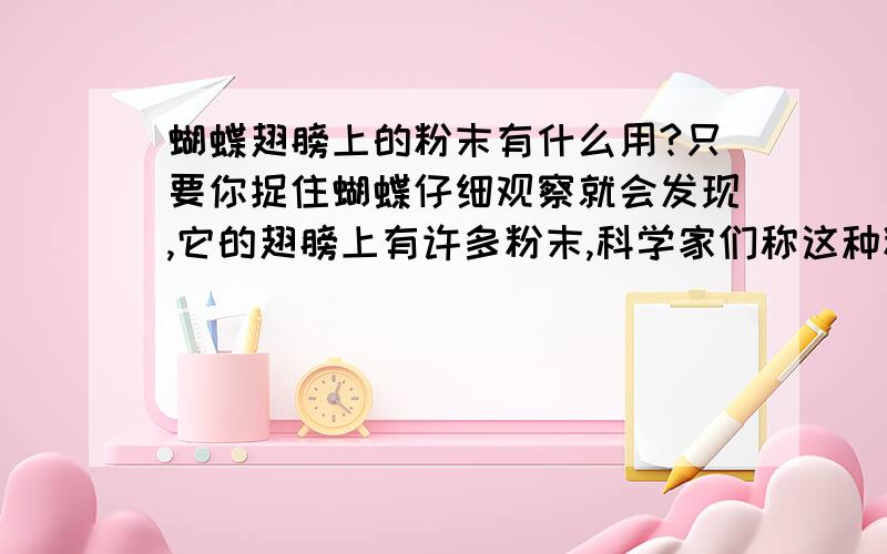 蝴蝶翅膀上的粉末有什么用?只要你捉住蝴蝶仔细观察就会发现,它的翅膀上有许多粉末,科学家们称这种粉末叫＂鳞粉＂,这些粉末有什么用呢?