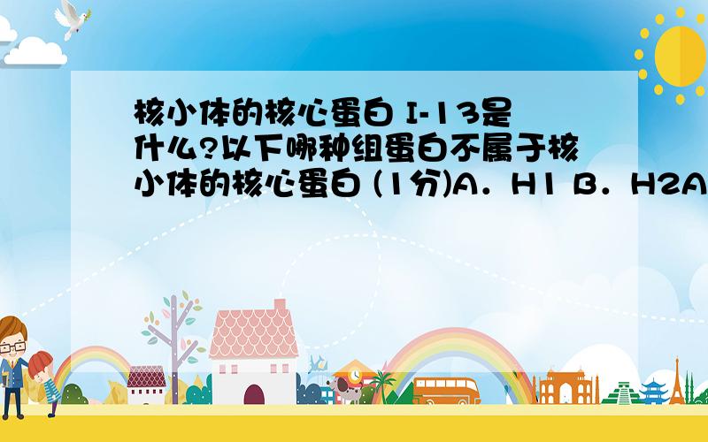 核小体的核心蛋白 I-13是什么?以下哪种组蛋白不属于核小体的核心蛋白 (1分)A．H1 B．H2A C．H2B D．I-13 E．H4D是什么