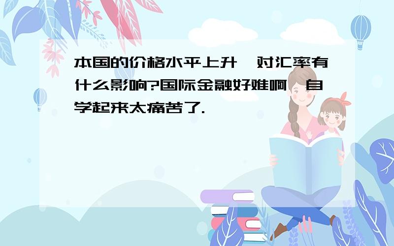 本国的价格水平上升,对汇率有什么影响?国际金融好难啊,自学起来太痛苦了.