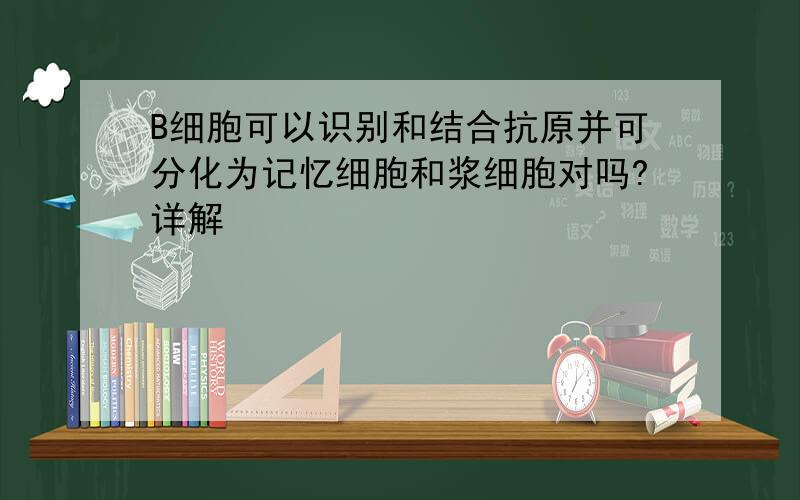 B细胞可以识别和结合抗原并可分化为记忆细胞和浆细胞对吗?详解