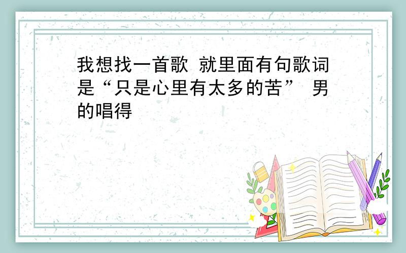 我想找一首歌 就里面有句歌词是“只是心里有太多的苦” 男的唱得