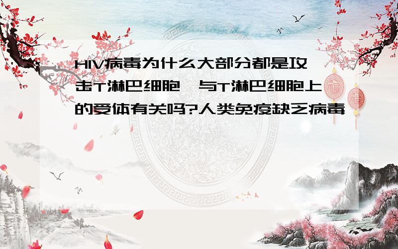 HIV病毒为什么大部分都是攻击T淋巴细胞,与T淋巴细胞上的受体有关吗?人类免疫缺乏病毒