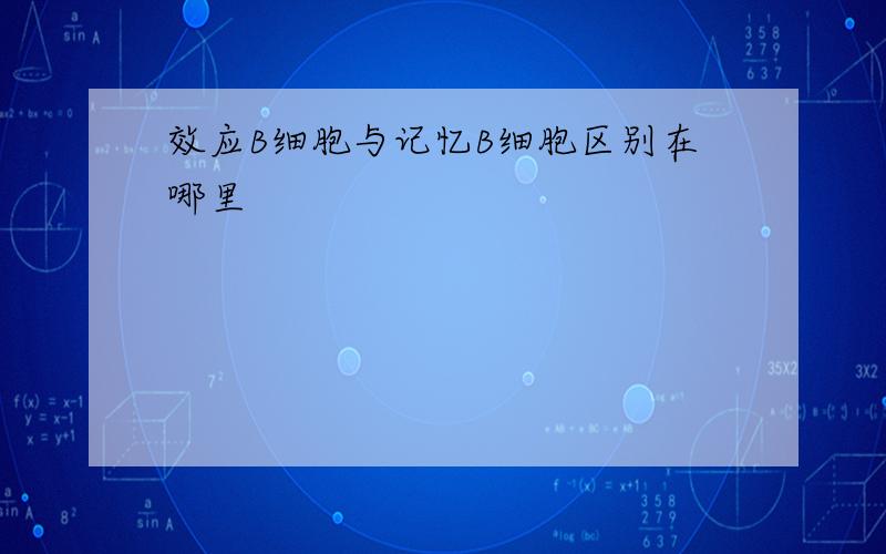 效应B细胞与记忆B细胞区别在哪里