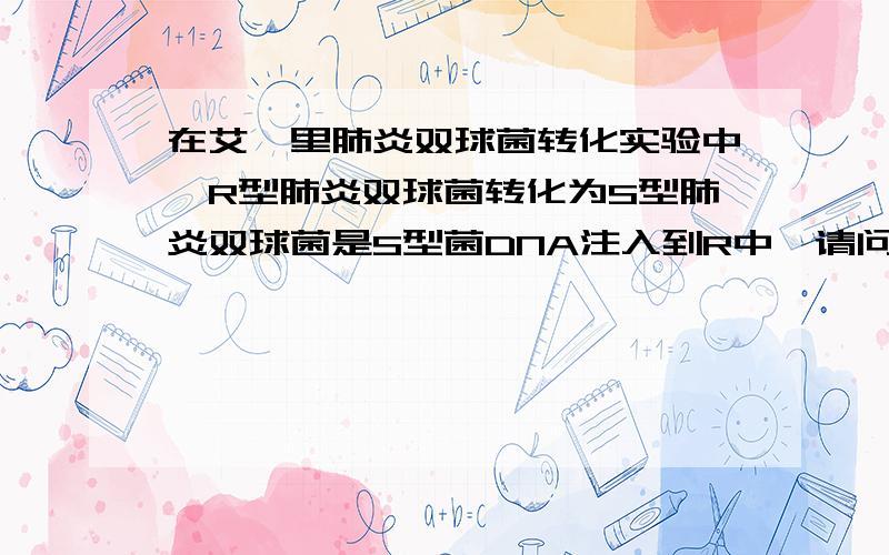 在艾弗里肺炎双球菌转化实验中,R型肺炎双球菌转化为S型肺炎双球菌是S型菌DNA注入到R中,请问它是怎么进入有细胞壁的细菌中的,DNA是大分子啊?还有细菌中有限制酶,会对它有作用吗,并且它是