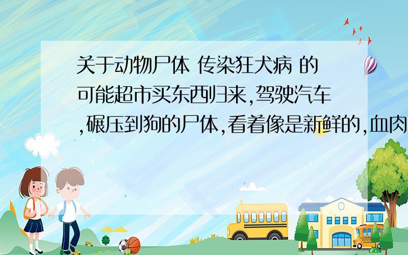 关于动物尸体 传染狂犬病 的可能超市买东西归来,驾驶汽车,碾压到狗的尸体,看着像是新鲜的,血肉模糊.挺担心狗尸体的碎肉或者血液沾在轮胎或者车门上,过来大概10分钟,手或者物品（超市