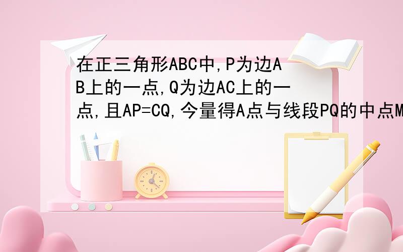 在正三角形ABC中,P为边AB上的一点,Q为边AC上的一点,且AP=CQ,今量得A点与线段PQ的中点M之间的距离是19cm.则P点到C点的距离等于多少cm?