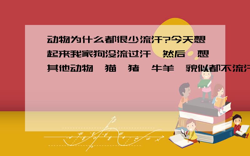 动物为什么都很少流汗?今天想起来我家狗没流过汗,然后一想其他动物,猫,猪,牛羊,貌似都不流汗?这是为什么