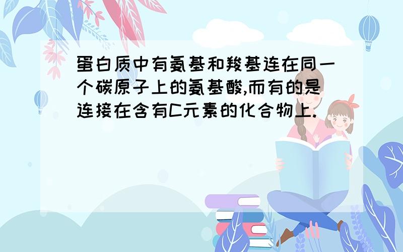 蛋白质中有氨基和羧基连在同一个碳原子上的氨基酸,而有的是连接在含有C元素的化合物上.