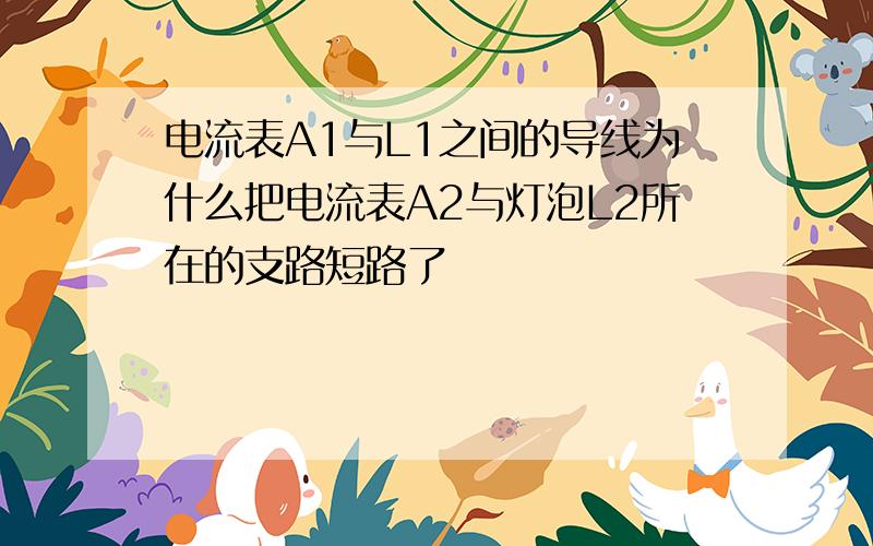 电流表A1与L1之间的导线为什么把电流表A2与灯泡L2所在的支路短路了