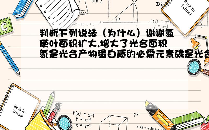 判断下列说法（为什么）谢谢氮使叶面积扩大,增大了光合面积氮是光合产物蛋白质的必需元素磷是光合作用的重要原料