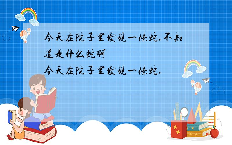 今天在院子里发现一条蛇,不知道是什么蛇啊​ 今天在院子里发现一条蛇,