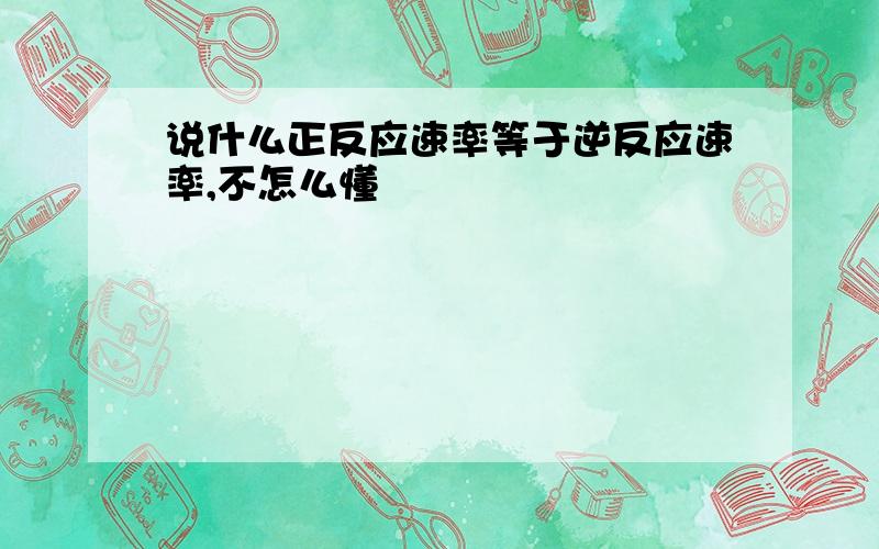 说什么正反应速率等于逆反应速率,不怎么懂