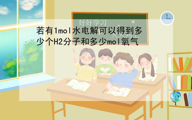 若有1mol水电解可以得到多少个H2分子和多少mol氧气