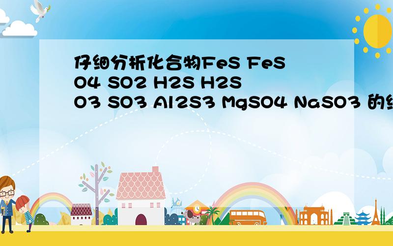 仔细分析化合物FeS FeSO4 SO2 H2S H2SO3 SO3 Al2S3 MgSO4 NaSO3 的组成,并按一定的规律将他们分成三组（请说明分类的原则）