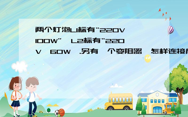 两个灯泡L1标有“220V,100W”,L2标有“220V,60W