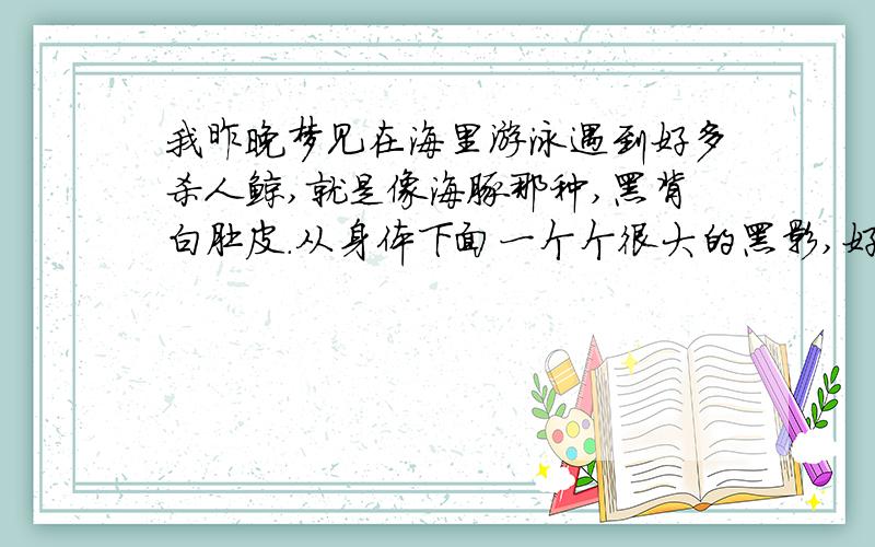 我昨晚梦见在海里游泳遇到好多杀人鲸,就是像海豚那种,黑背白肚皮.从身体下面一个个很大的黑影,好可怕.时不时还跳出来,我想逃回岸上,在水面上游怕成为被攻击的目标,所以潜下去游.游了