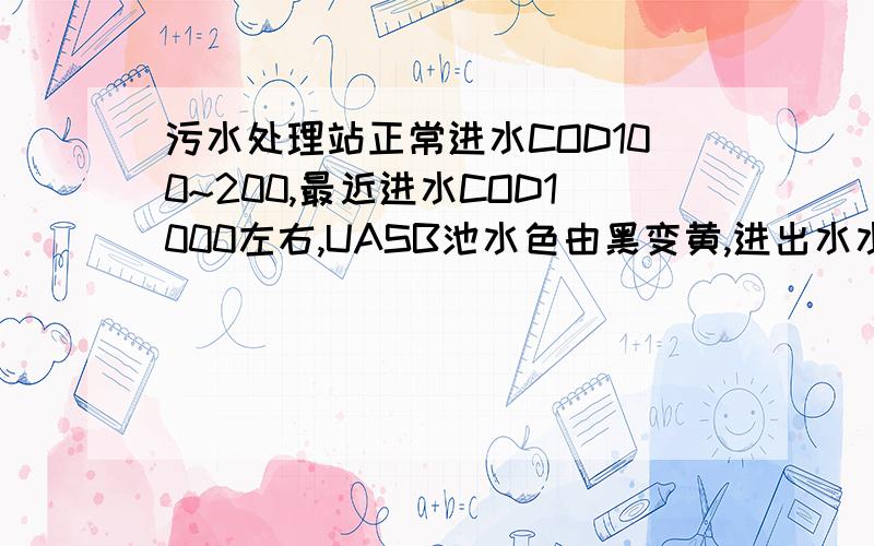 污水处理站正常进水COD100~200,最近进水COD1000左右,UASB池水色由黑变黄,进出水水质相同,怎么办?