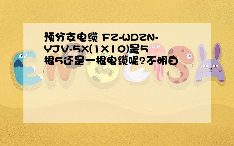 预分支电缆 FZ-WDZN-YJV-5X(1X10)是5根5还是一根电缆呢?不明白