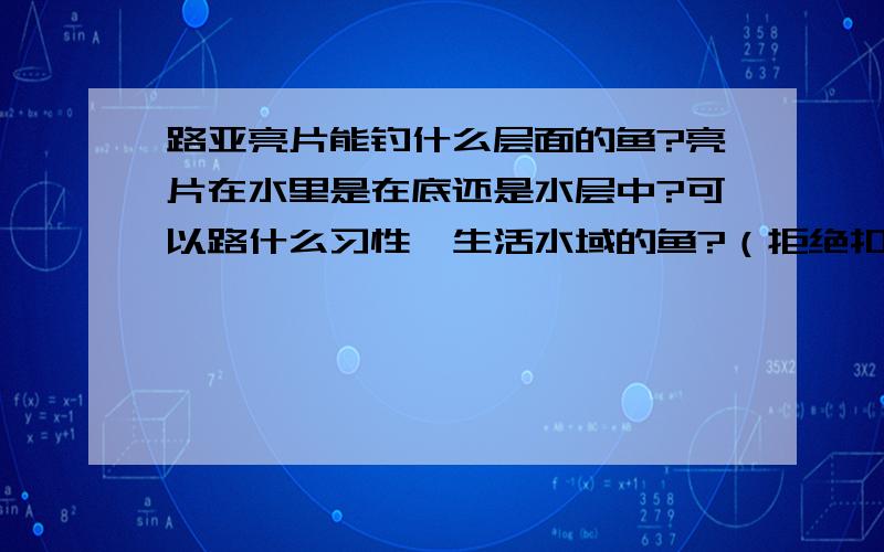 路亚亮片能钓什么层面的鱼?亮片在水里是在底还是水层中?可以路什么习性、生活水域的鱼?（拒绝扣比）!