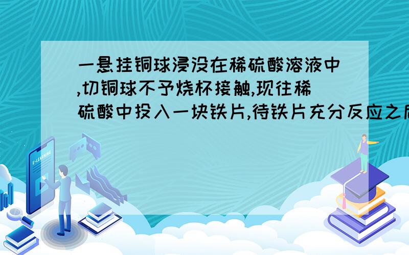 一悬挂铜球浸没在稀硫酸溶液中,切铜球不予烧杯接触,现往稀硫酸中投入一块铁片,待铁片充分反应之后,铜球所受拉力是变大还是变小?