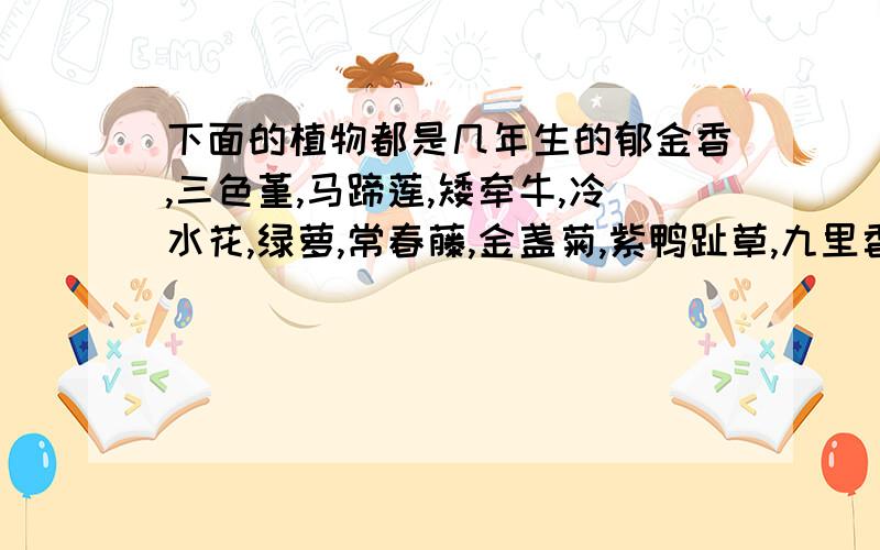 下面的植物都是几年生的郁金香,三色堇,马蹄莲,矮牵牛,冷水花,绿萝,常春藤,金盏菊,紫鸭趾草,九里香,醋浆草,花叶络石,胡秃子,羽衣甘蓝,水塔花,蟹爪兰,梅花,吊兰,瓜叶菊,鹤望兰→ →.