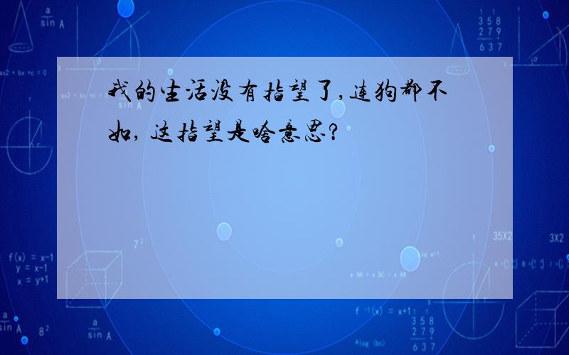 我的生活没有指望了,连狗都不如, 这指望是啥意思?