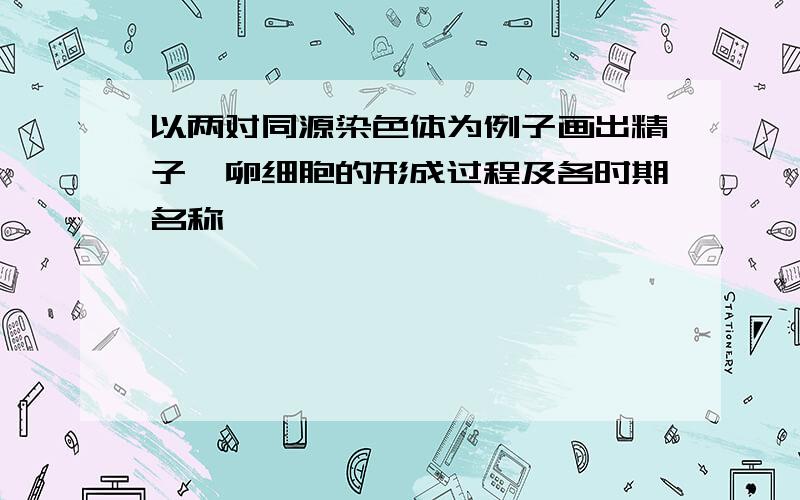 以两对同源染色体为例子画出精子,卵细胞的形成过程及各时期名称