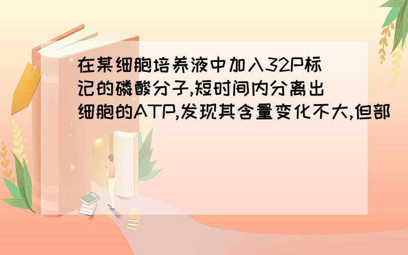 在某细胞培养液中加入32P标记的磷酸分子,短时间内分离出细胞的ATP,发现其含量变化不大,但部