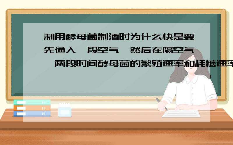 利用酵母菌制酒时为什么快是要先通入一段空气,然后在隔空气,两段时间酵母菌的繁殖速率和耗糖速率分别有什么变化