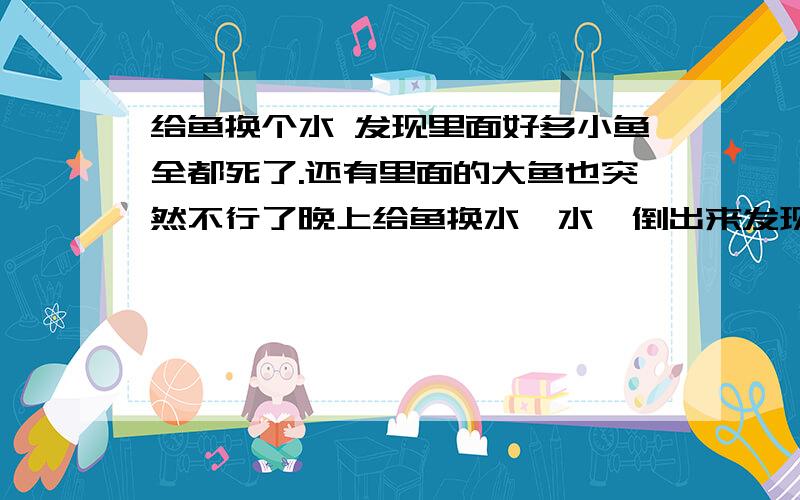 给鱼换个水 发现里面好多小鱼全都死了.还有里面的大鱼也突然不行了晚上给鱼换水,水一倒出来发现有好多小鱼 但是全是死的,而且肚皮像是烂的.又过了一会儿 一对金马丽 一对皮球 一条孔