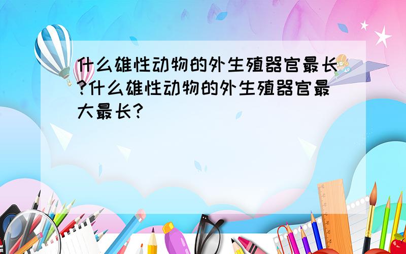 什么雄性动物的外生殖器官最长?什么雄性动物的外生殖器官最大最长?