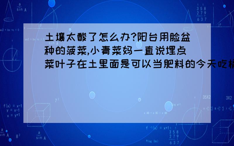 土壤太酸了怎么办?阳台用脸盆种的菠菜,小青菜妈一直说埋点菜叶子在土里面是可以当肥料的今天吃橘子突发奇想把橘子皮全埋进去了(2只)觉得不过瘾,又把手上剩下的半只橘子挤了汁浇上去