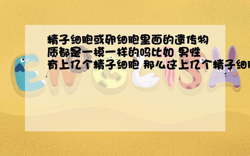 精子细胞或卵细胞里面的遗传物质都是一模一样的吗比如 男性有上亿个精子细胞 那么这上亿个精子细胞的遗传物质都一样吗?还是不一样?为什么?